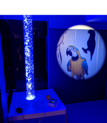 Photo of sensory room with dim blue lights and images of parrots projected on wall next to a bubble tube machine