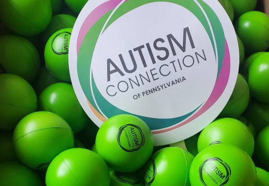 autism connection logo on auction banner nestled in bright green sensory balls