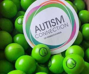 autism connection logo on auction banner nestled in bright green sensory balls