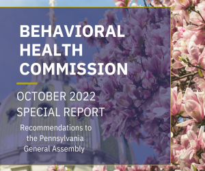 Cover of Behavioral Health Commission Special Report