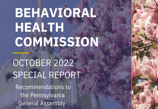 Cover of Behavioral Health Commission Special Report