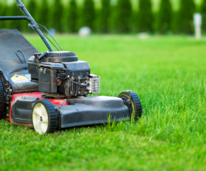 photo of a lawnmower on green grass