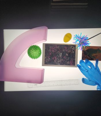 light box with illuminated objects and pictures