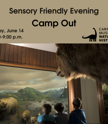 Sensory Friendly Camp Out flyer