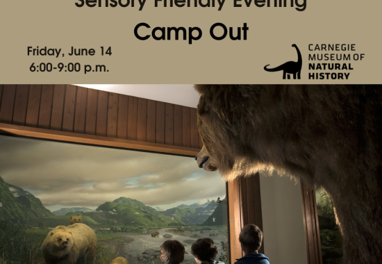 Sensory Friendly Camp Out flyer