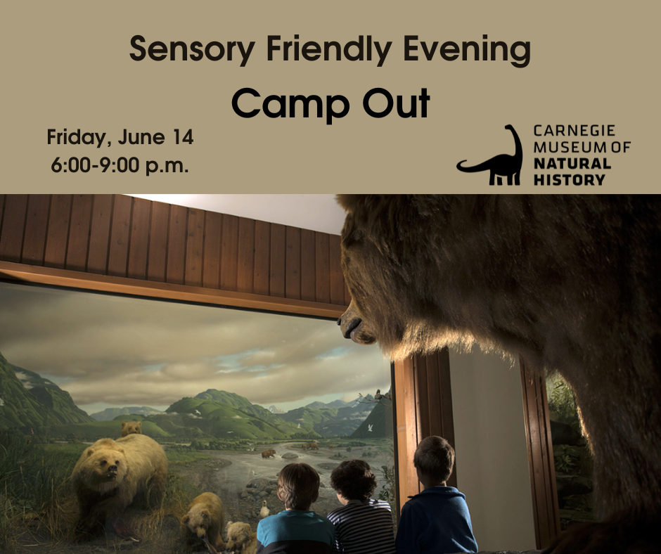 Sensory Friendly Camp Out flyer